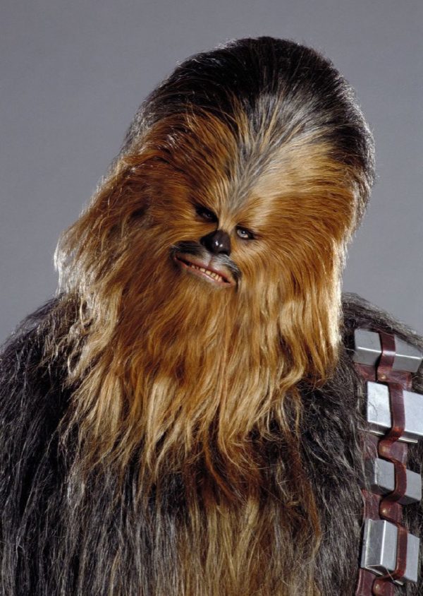 Hairy Hans (thanks Dave)